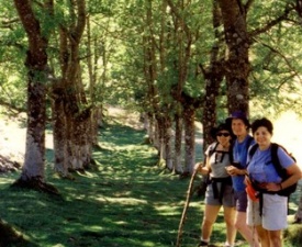 2001 Basque July